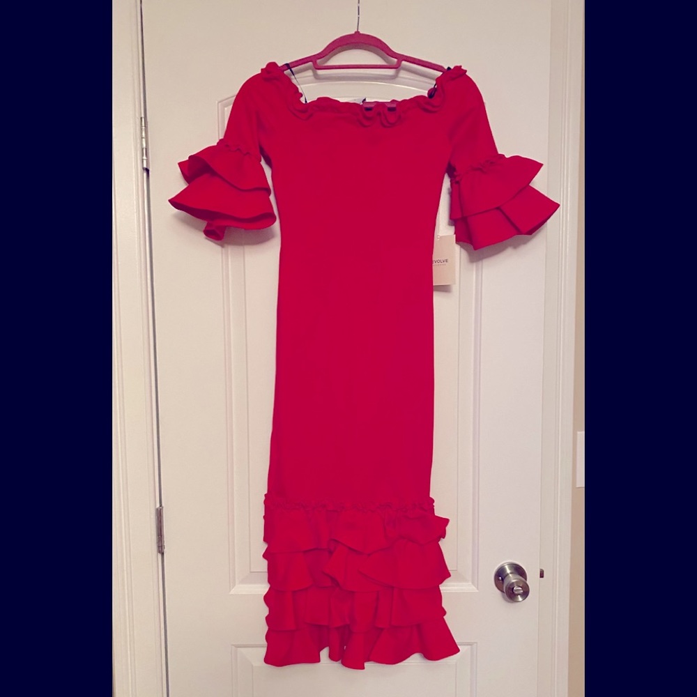 NWT Donna Mizani Midi Dress